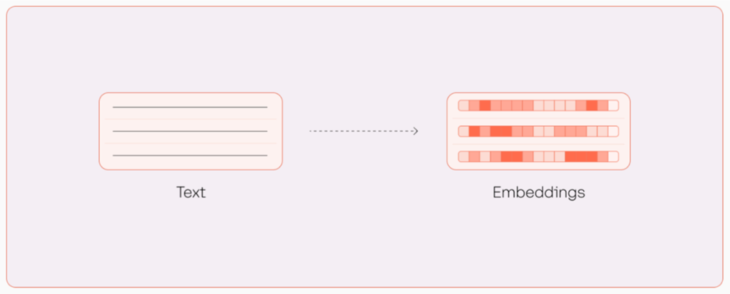 embed